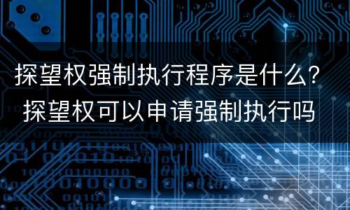 探望权强制执行程序是什么？ 探望权可以申请强制执行吗