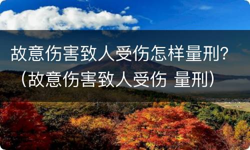 故意伤害致人受伤怎样量刑？（故意伤害致人受伤 量刑）
