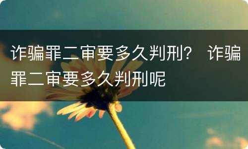 诈骗罪二审要多久判刑？ 诈骗罪二审要多久判刑呢