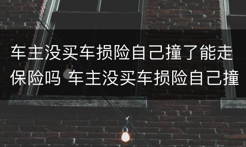 车主没买车损险自己撞了能走保险吗 车主没买车损险自己撞了能走保险吗多少钱
