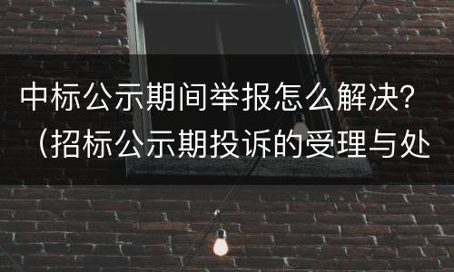 中标公示期间举报怎么解决？（招标公示期投诉的受理与处理）