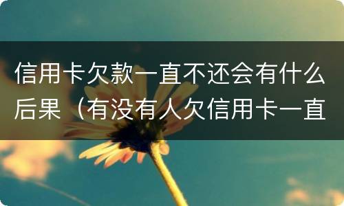 信用卡欠款一直不还会有什么后果（有没有人欠信用卡一直不还没事的）