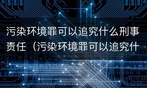 污染环境罪可以追究什么刑事责任（污染环境罪可以追究什么刑事责任）
