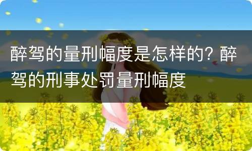 醉驾的量刑幅度是怎样的? 醉驾的刑事处罚量刑幅度