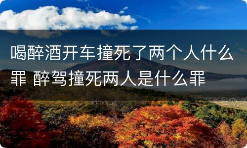 喝醉酒开车撞死了两个人什么罪 醉驾撞死两人是什么罪