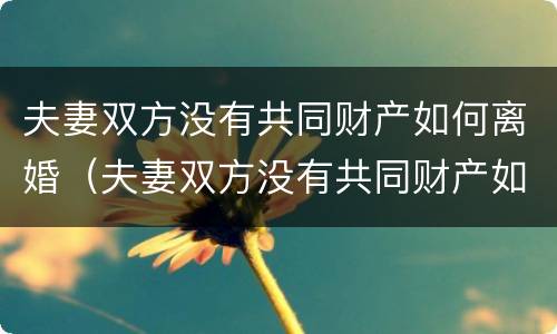 夫妻双方没有共同财产如何离婚（夫妻双方没有共同财产如何离婚呢）