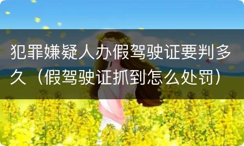 犯罪嫌疑人办假驾驶证要判多久（假驾驶证抓到怎么处罚）