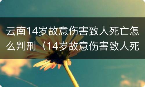云南14岁故意伤害致人死亡怎么判刑（14岁故意伤害致人死亡 判决）