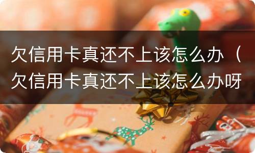 欠信用卡真还不上该怎么办（欠信用卡真还不上该怎么办呀）