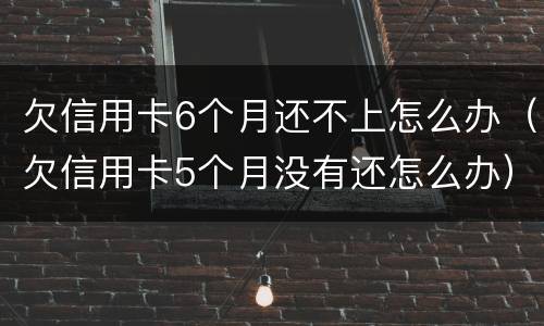 欠信用卡6个月还不上怎么办（欠信用卡5个月没有还怎么办）