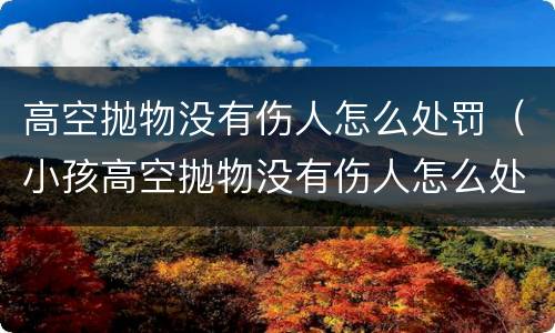 高空抛物没有伤人怎么处罚（小孩高空抛物没有伤人怎么处罚）