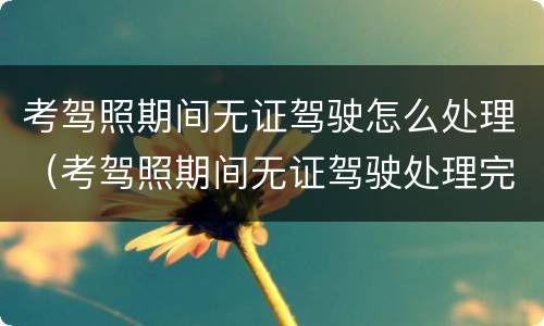 考驾照期间无证驾驶怎么处理（考驾照期间无证驾驶处理完还可以继续考吗）