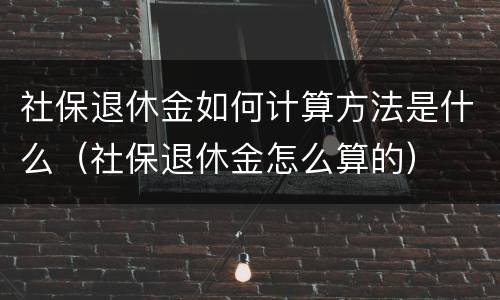 社保退休金如何计算方法是什么（社保退休金怎么算的）