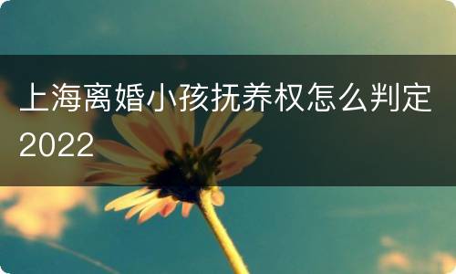上海离婚小孩抚养权怎么判定2022