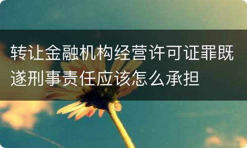 转让金融机构经营许可证罪既遂刑事责任应该怎么承担