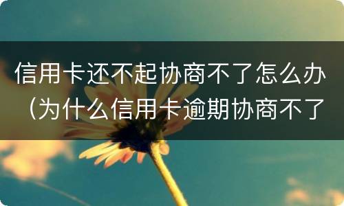 信用卡还不起协商不了怎么办（为什么信用卡逾期协商不了）