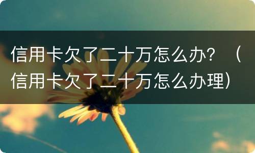 信用卡欠了二十万怎么办？（信用卡欠了二十万怎么办理）