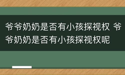 爷爷奶奶是否有小孩探视权 爷爷奶奶是否有小孩探视权呢
