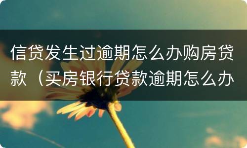 信贷发生过逾期怎么办购房贷款（买房银行贷款逾期怎么办）