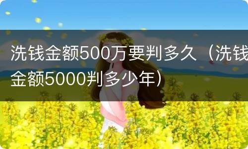 洗钱金额500万要判多久（洗钱金额5000判多少年）