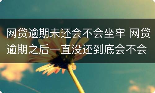 网贷逾期未还会不会坐牢 网贷逾期之后一直没还到底会不会坐牢