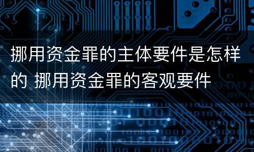 挪用资金罪的主体要件是怎样的 挪用资金罪的客观要件