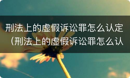 刑法上的虚假诉讼罪怎么认定（刑法上的虚假诉讼罪怎么认定的）