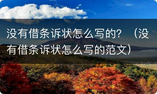 没有借条诉状怎么写的？（没有借条诉状怎么写的范文）