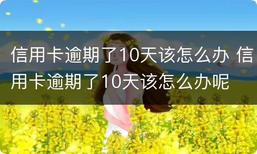 信用卡逾期了10天该怎么办 信用卡逾期了10天该怎么办呢