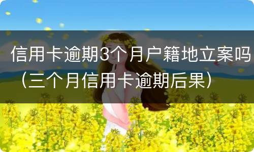 信用卡逾期3个月户籍地立案吗（三个月信用卡逾期后果）