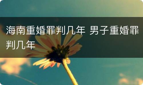 海南重婚罪判几年 男子重婚罪判几年