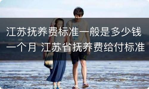 江苏抚养费标准一般是多少钱一个月 江苏省抚养费给付标准