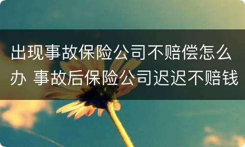 出现事故保险公司不赔偿怎么办 事故后保险公司迟迟不赔钱