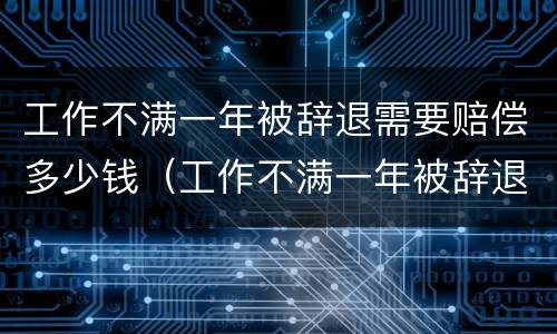 工作不满一年被辞退需要赔偿多少钱（工作不满一年被辞退需要赔偿多少钱呢）