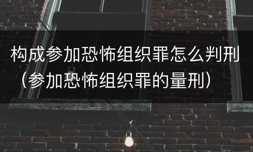 构成参加恐怖组织罪怎么判刑（参加恐怖组织罪的量刑）