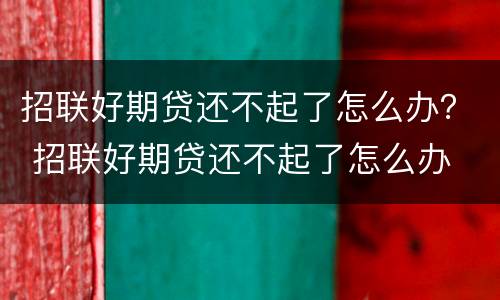 招联好期贷还不起了怎么办？ 招联好期贷还不起了怎么办