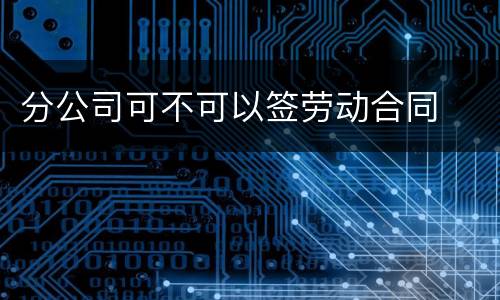 分公司可不可以签劳动合同