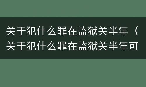 关于犯什么罪在监狱关半年（关于犯什么罪在监狱关半年可以减刑）
