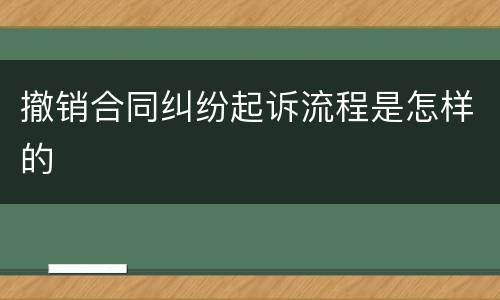 撤销合同纠纷起诉流程是怎样的