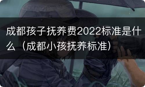 成都孩子抚养费2022标准是什么（成都小孩抚养标准）