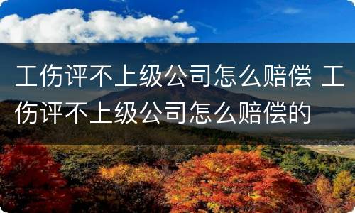 工伤评不上级公司怎么赔偿 工伤评不上级公司怎么赔偿的