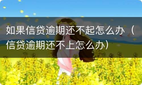 如果信贷逾期还不起怎么办（信贷逾期还不上怎么办）