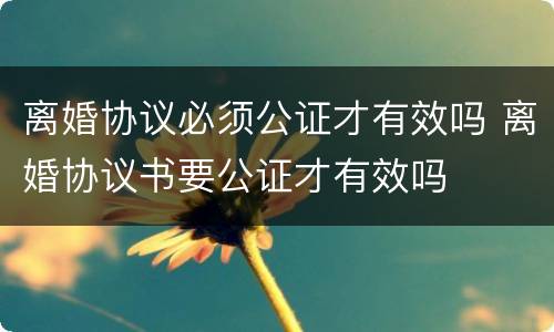 离婚协议必须公证才有效吗 离婚协议书要公证才有效吗