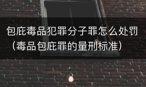包庇毒品犯罪分子罪怎么处罚（毒品包庇罪的量刑标准）