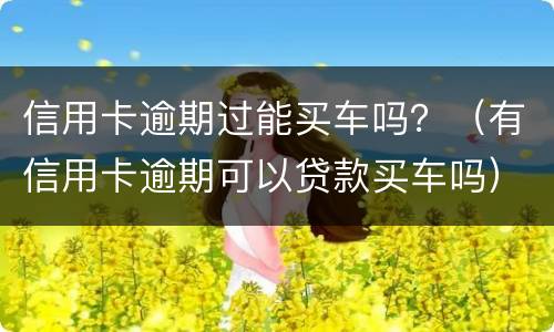 信用卡逾期过能买车吗？（有信用卡逾期可以贷款买车吗）