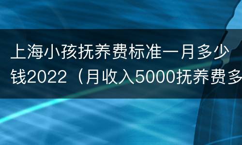 上海小孩抚养费标准一月多少钱2022（月收入5000抚养费多少）
