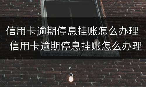 信用卡逾期停息挂账怎么办理 信用卡逾期停息挂账怎么办理手续