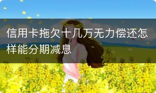 信用卡拖欠十几万无力偿还怎样能分期减息