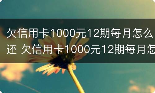 欠信用卡1000元12期每月怎么还 欠信用卡1000元12期每月怎么还的