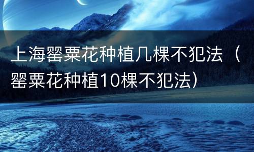 上海罂粟花种植几棵不犯法（罂粟花种植10棵不犯法）